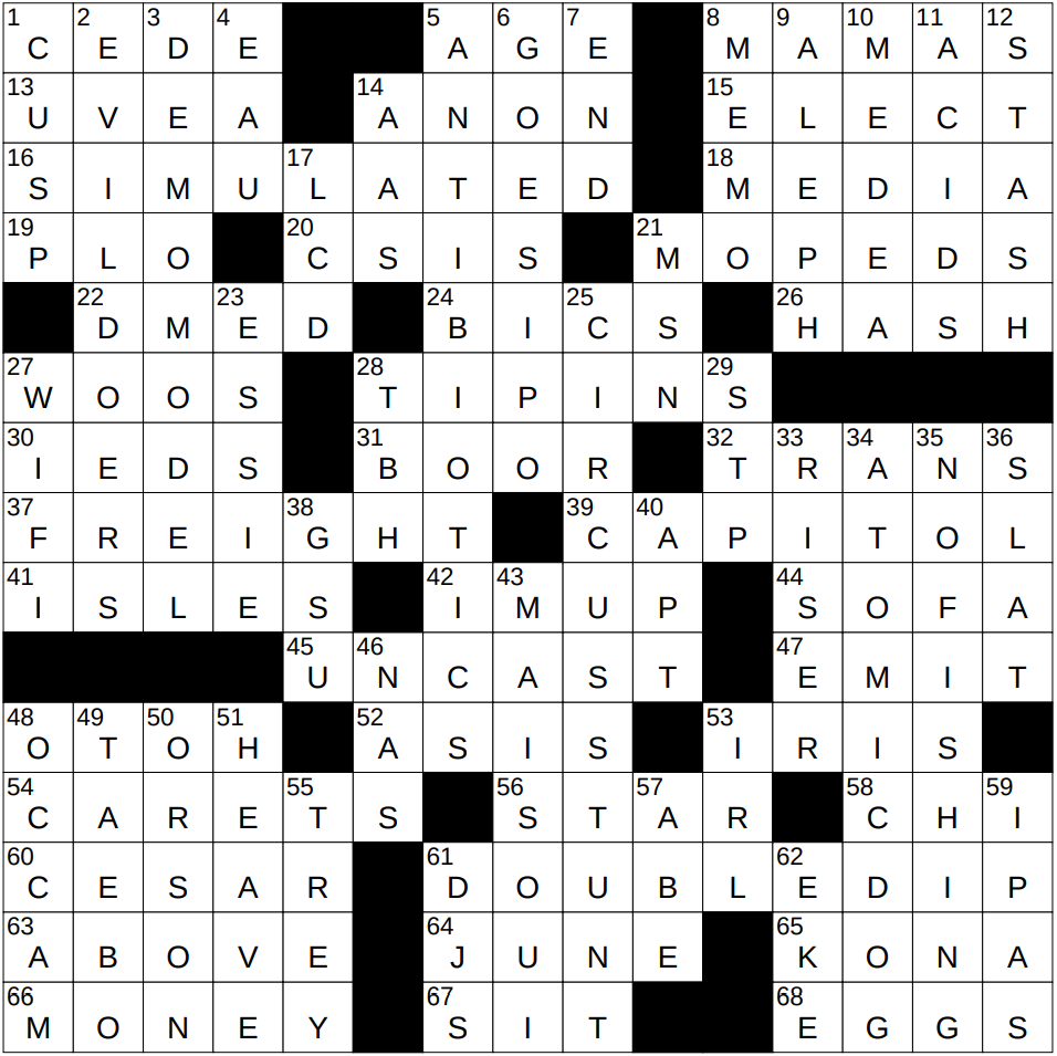 eye part crossword clue
