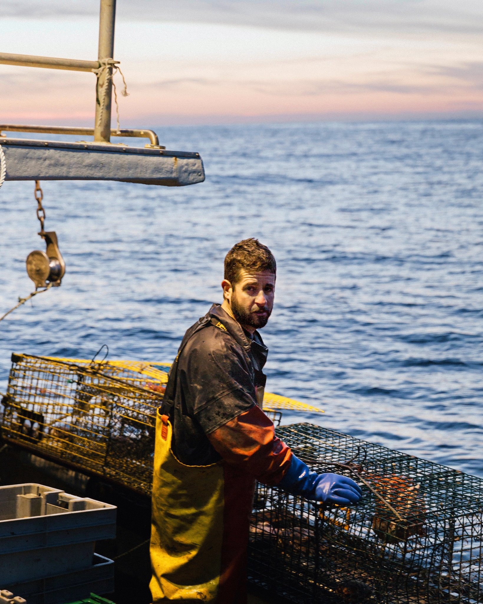 A Speck In The Sea The New York Times