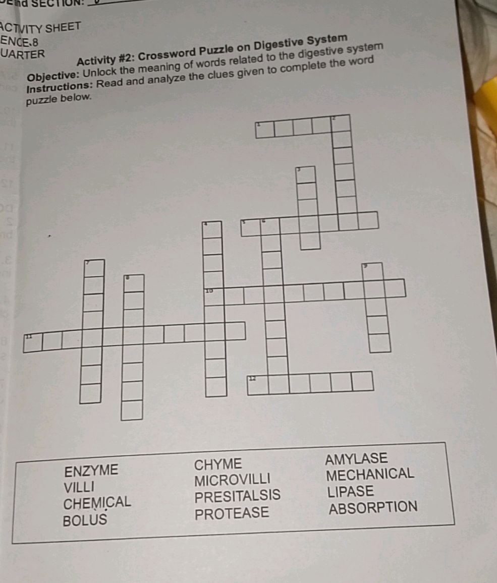 Activity 2 Crossword Puzzle On Digestive StudyX