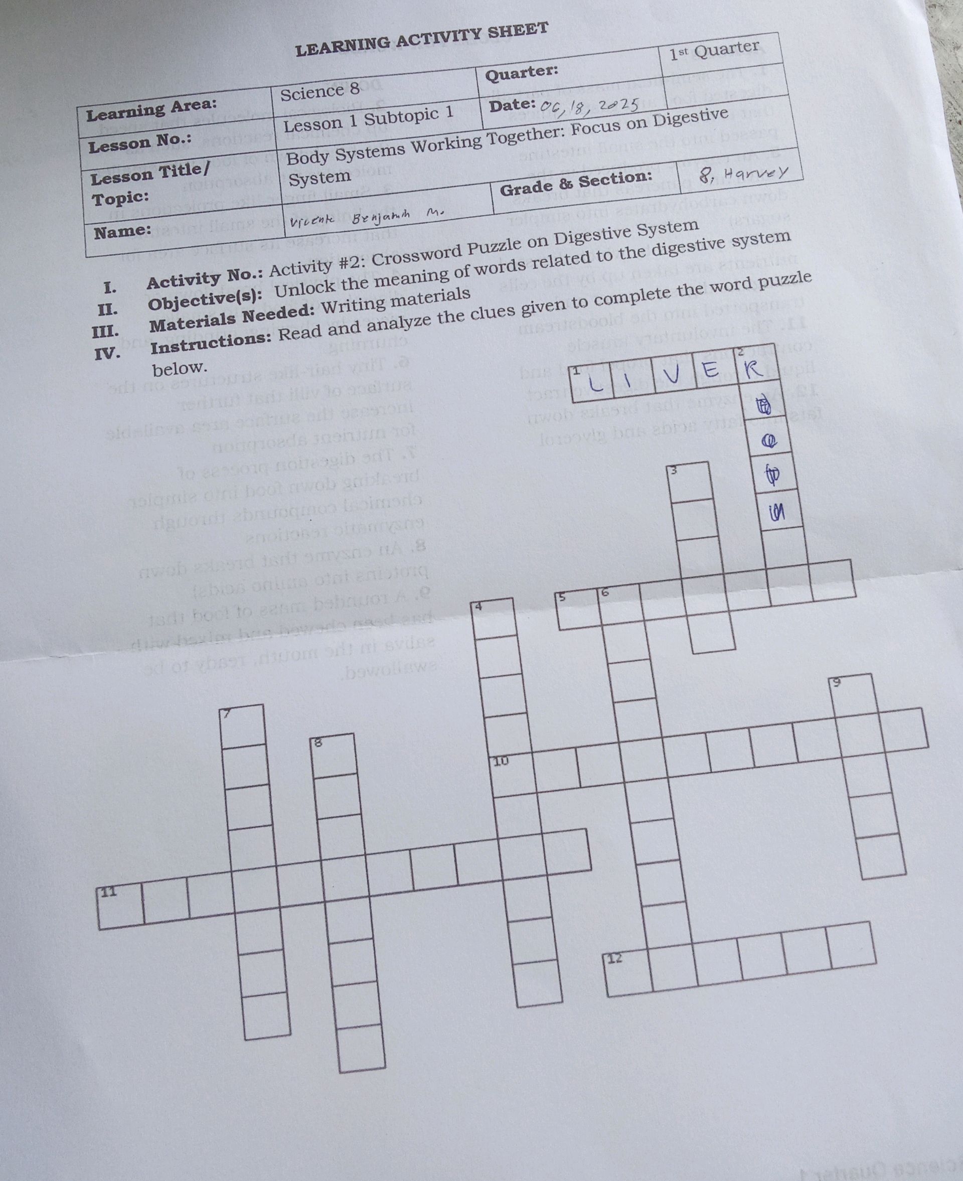Activity 2 Crossword Puzzle On Digestive StudyX