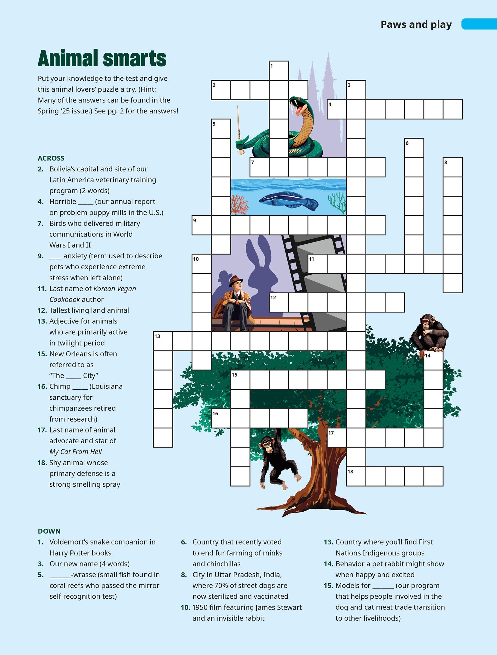 pet snakes home crossword clue