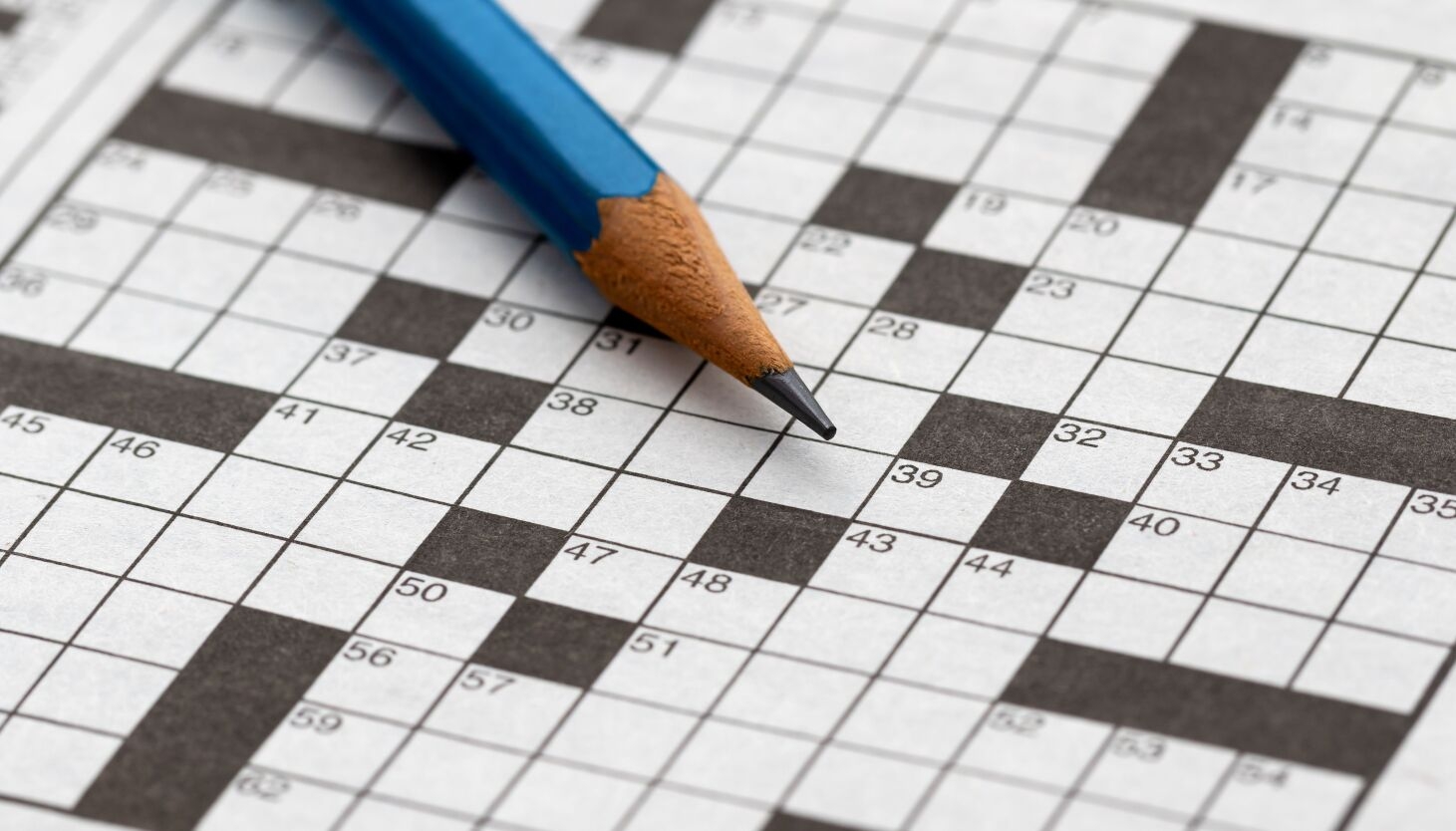 abound with crossword clue