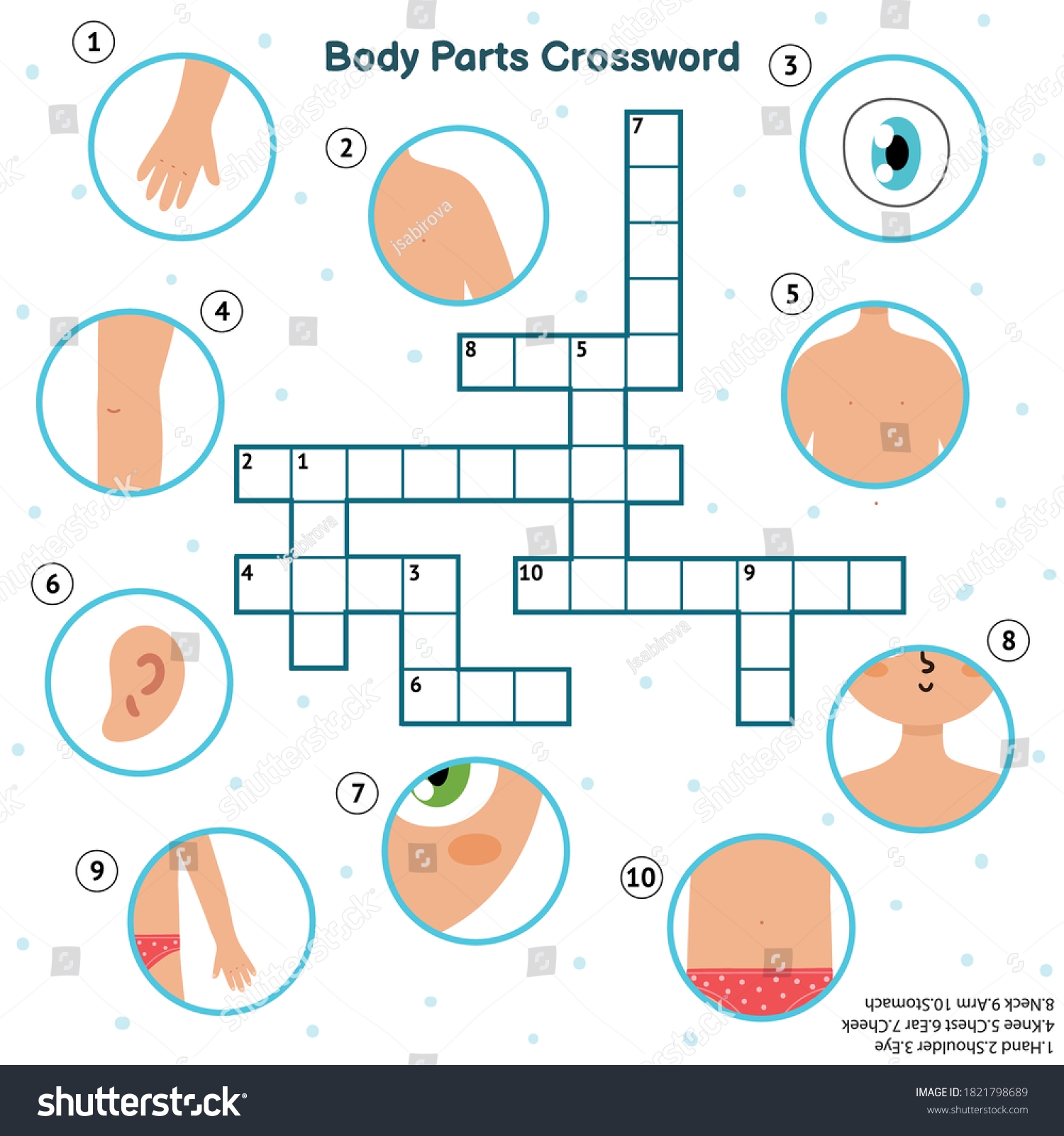 Body Parts Crossword Hand Eye Shoulder Stock Vector Royalty Free 1821798689 Shutterstock