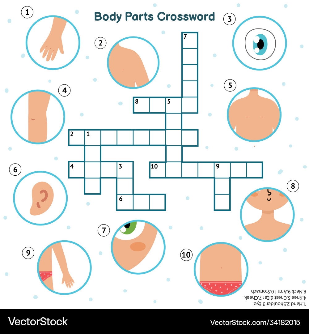 Body Parts Crossword Puzzle Kids Royalty Free Vector Image