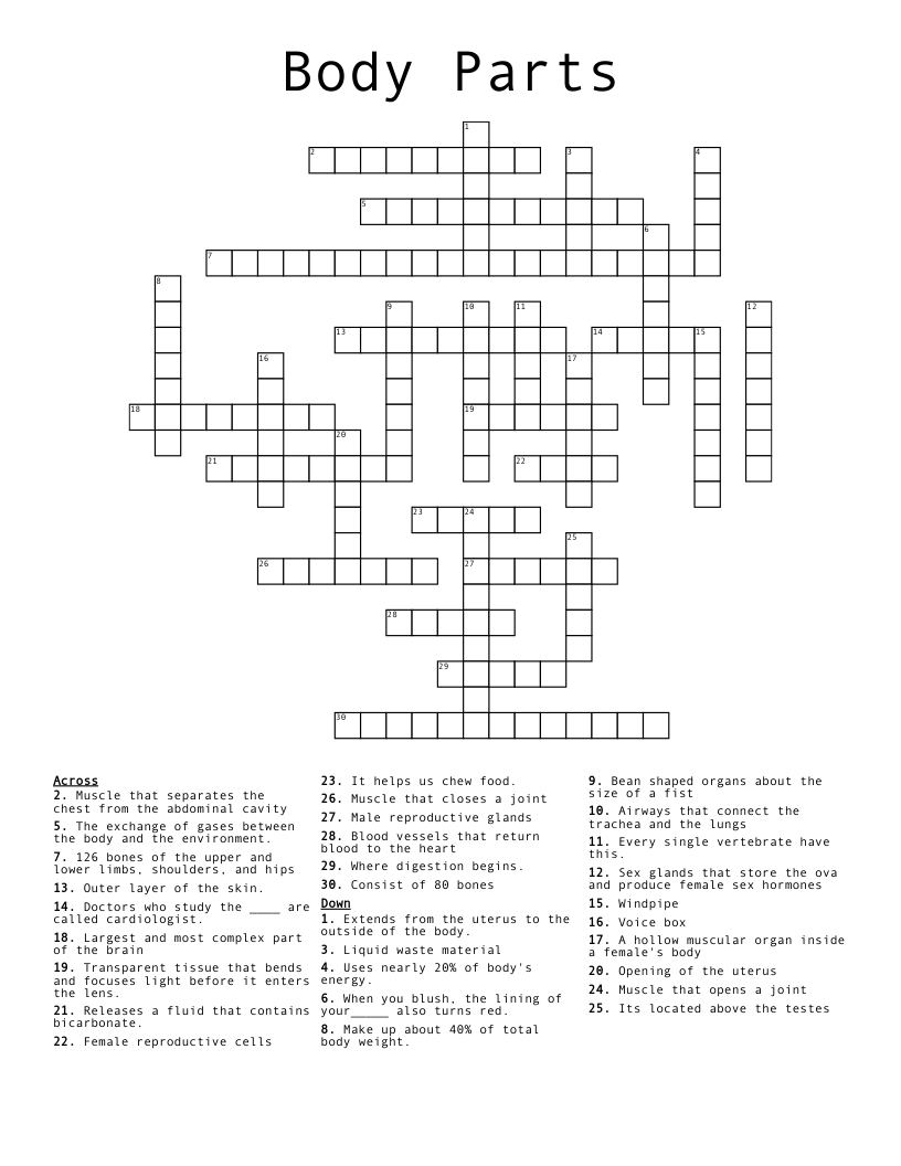 Body Parts Crossword WordMint