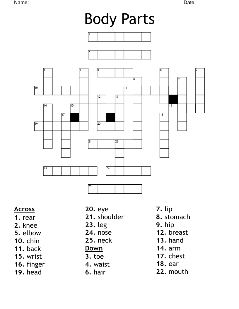 Body Parts Crossword WordMint