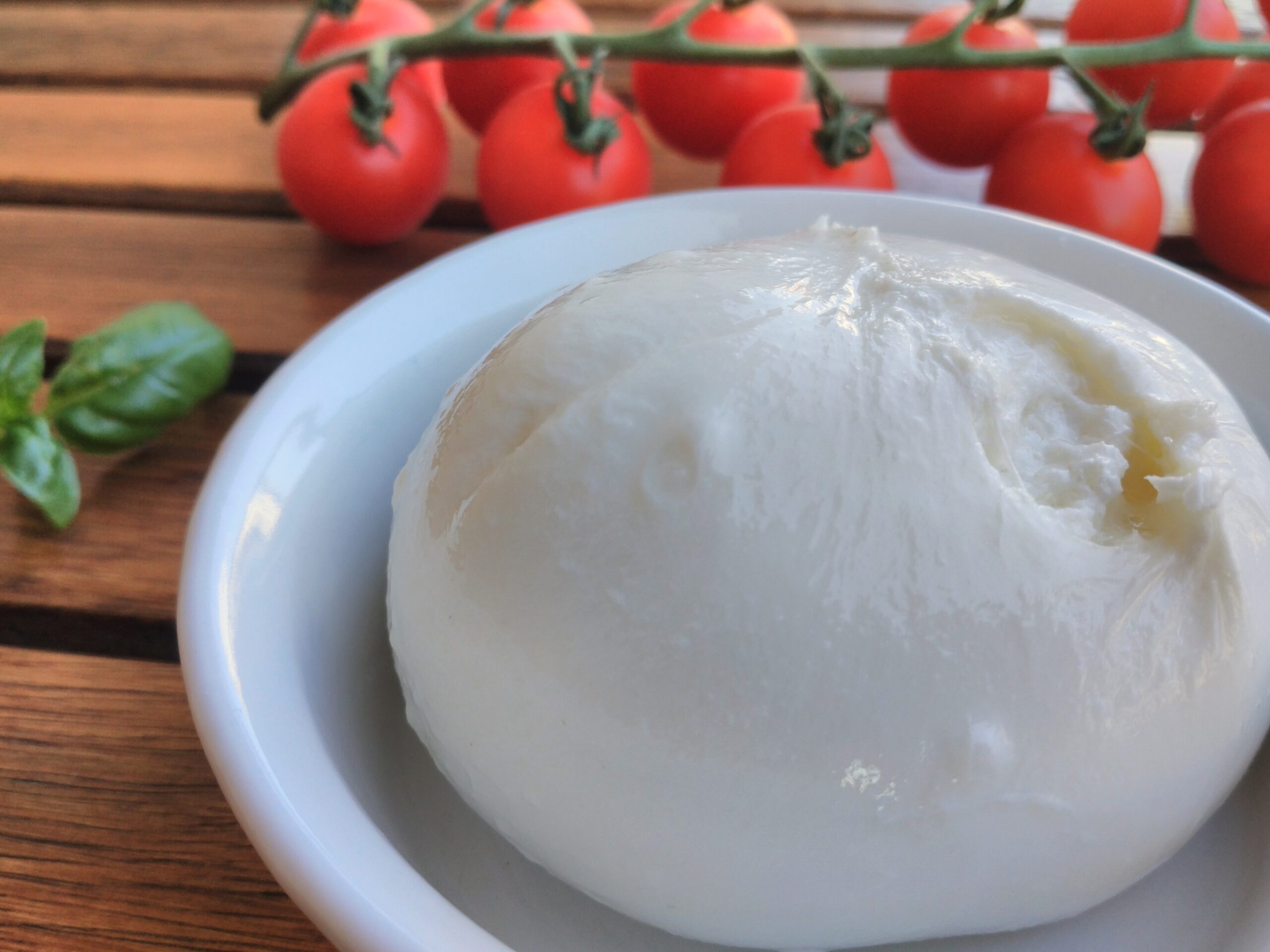 italian cheese crossword clue