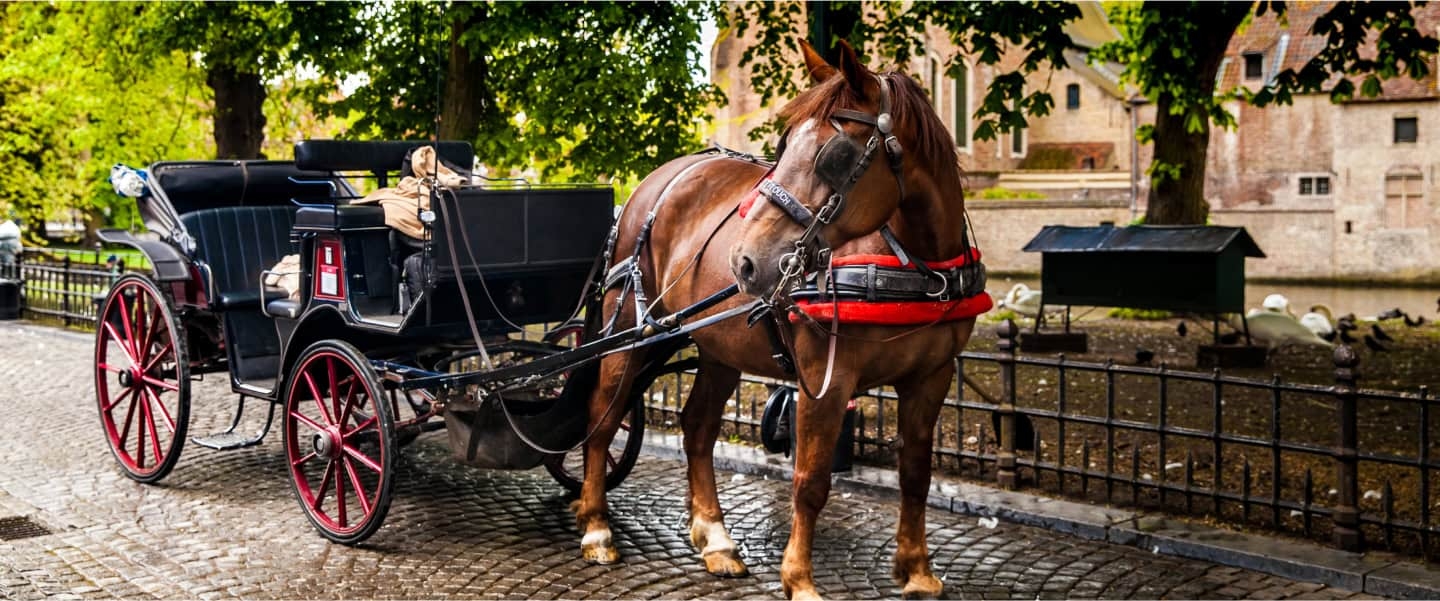 horse drawn carriage crossword clue