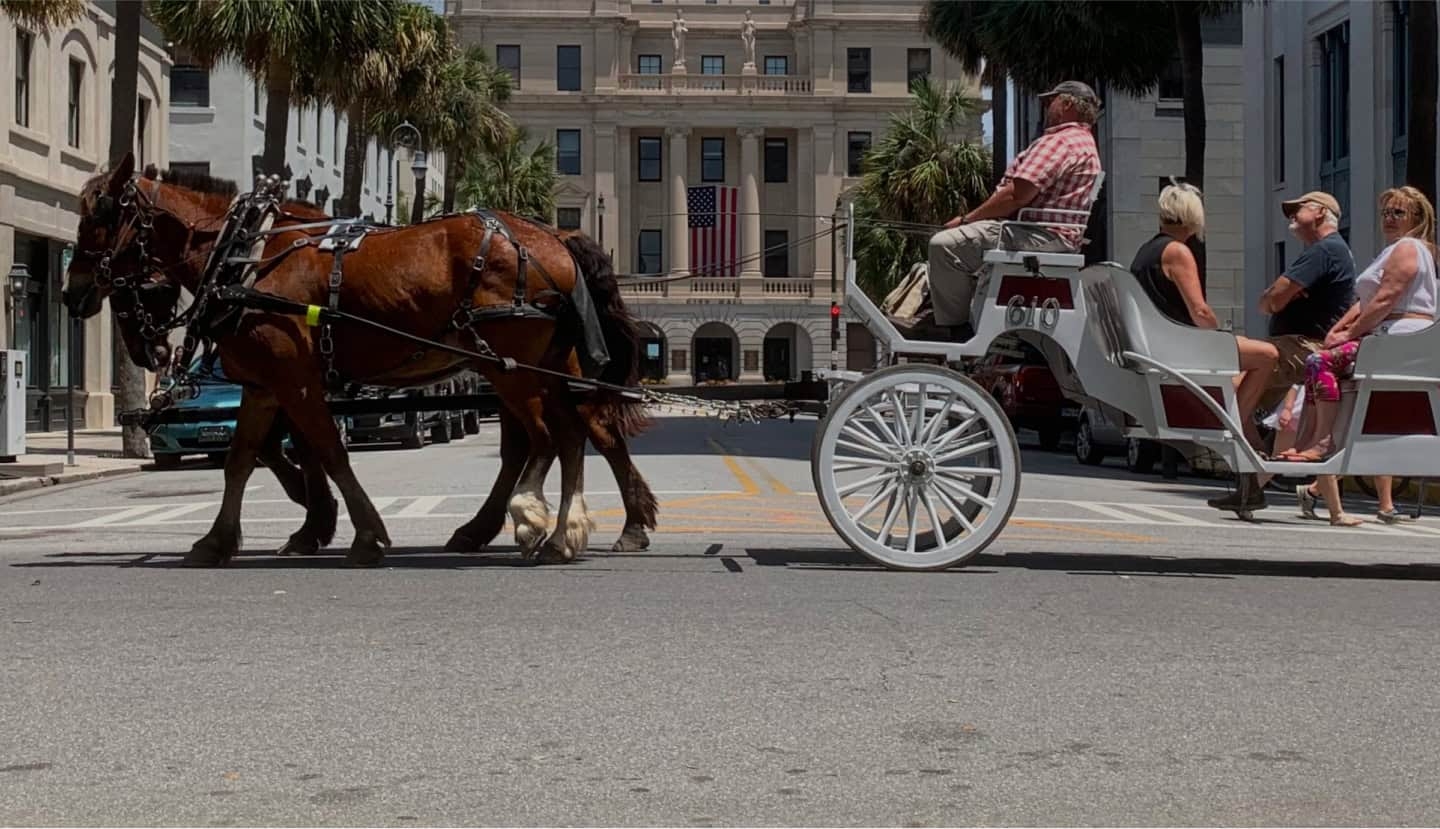 Carriage Tours In Charleston SC Carolina Polo Carriage Tour Company