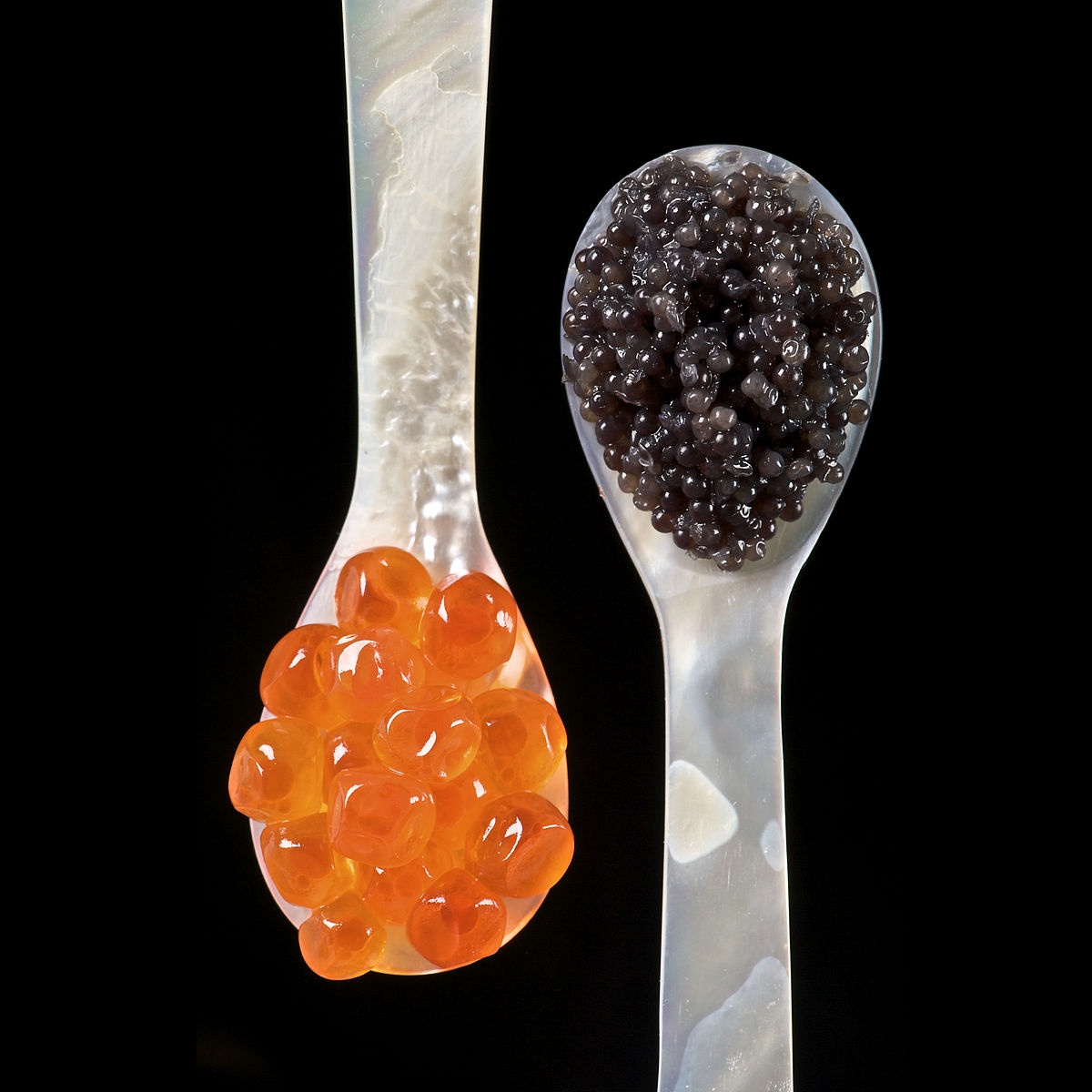 Caviar Wikipedia
