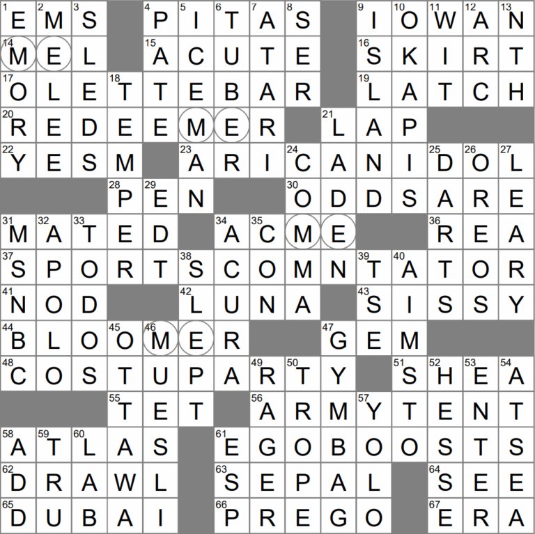 Checked Thoroughly Crossword Clue Archives LAXCrossword