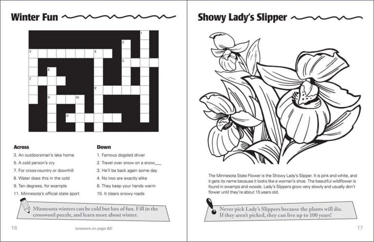 Color And Learn Minnesota Activity Book Paperback Walmart