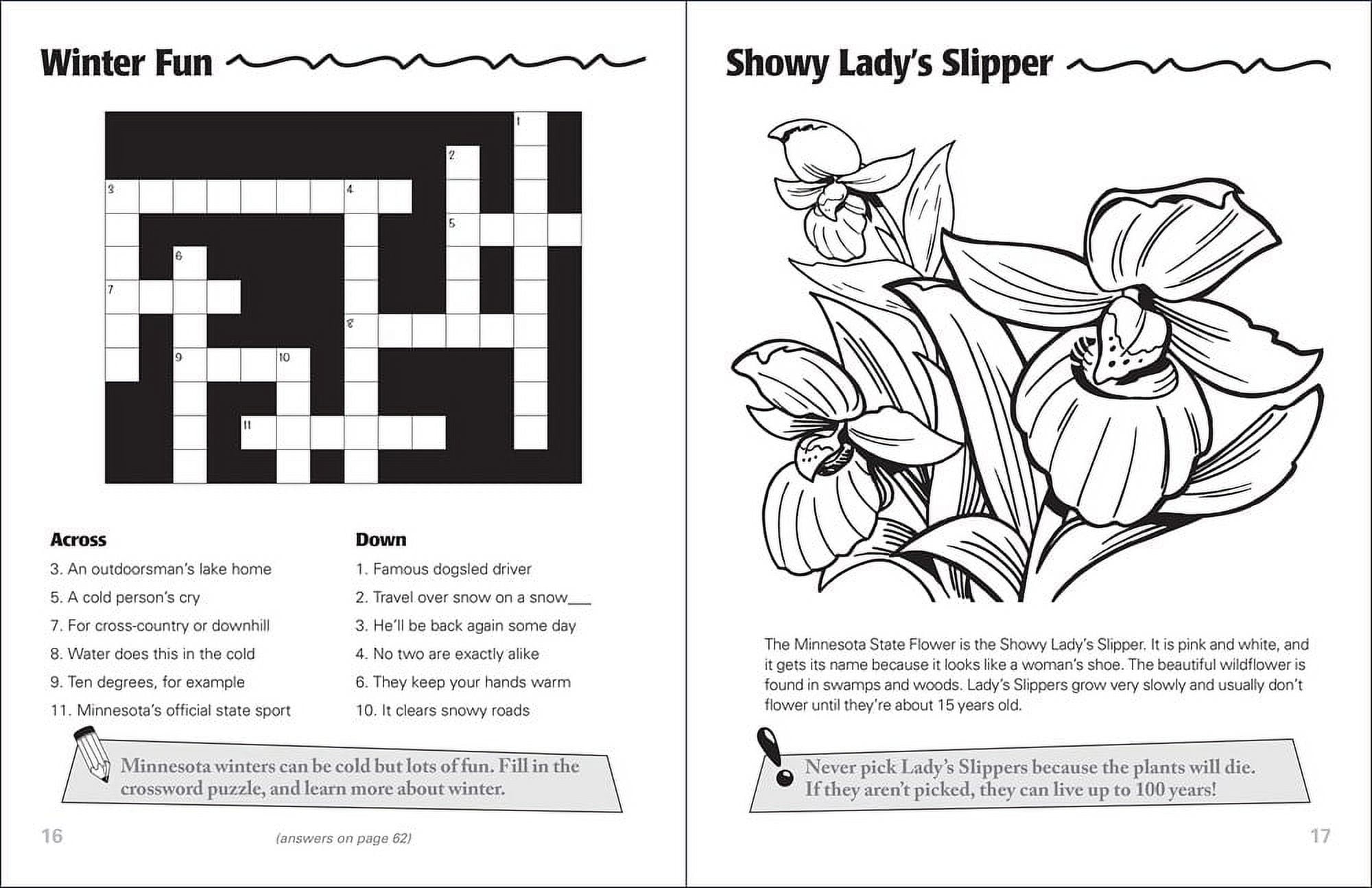 Color And Learn Minnesota Activity Book Paperback Walmart