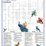 Colorful Birds Crossword