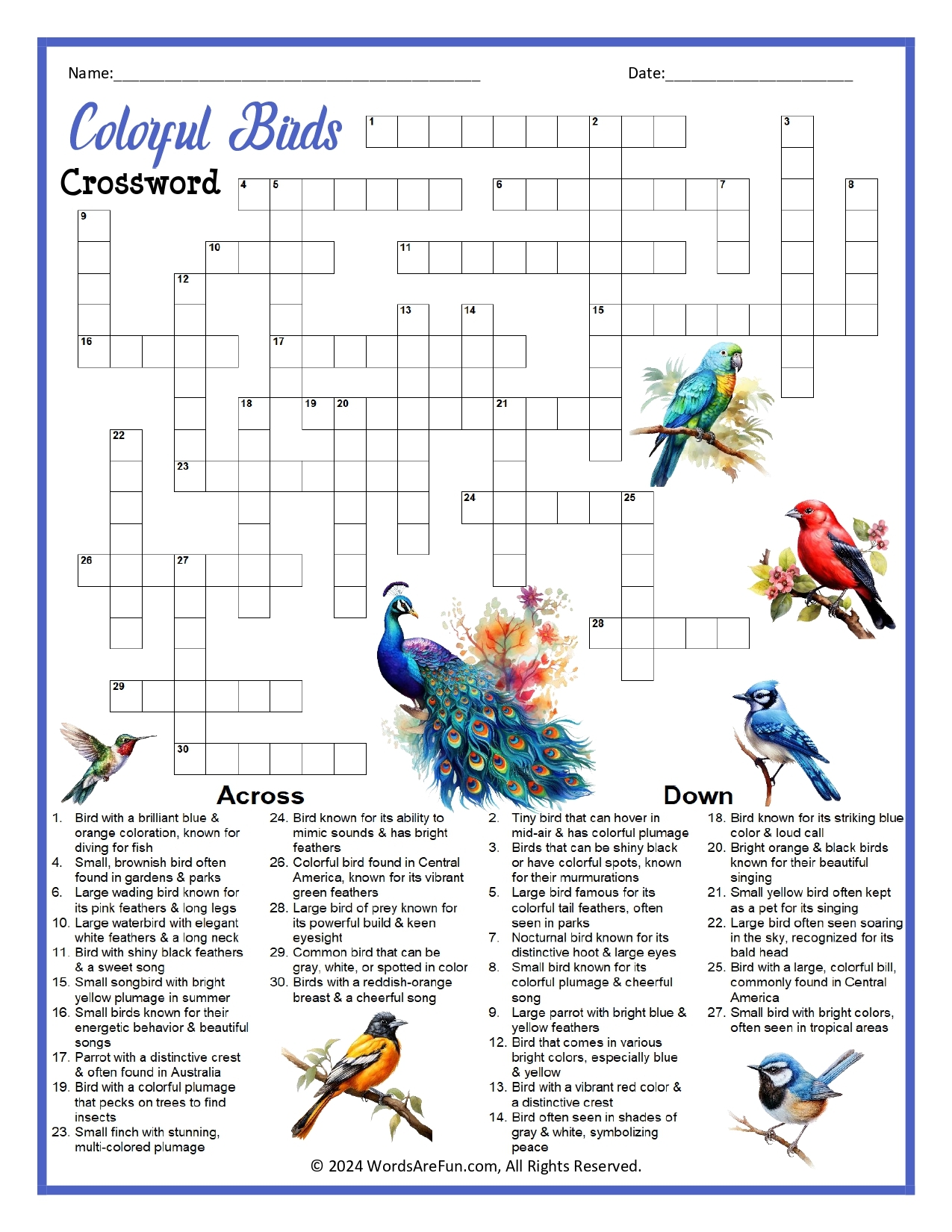 wading bird crossword clue