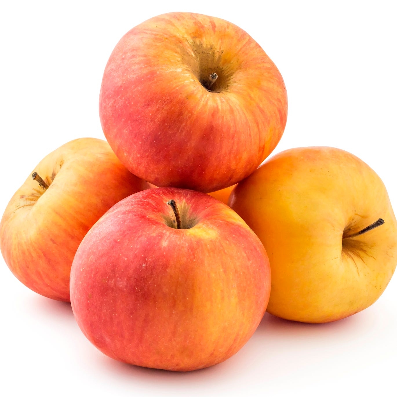 apple variety crossword clue