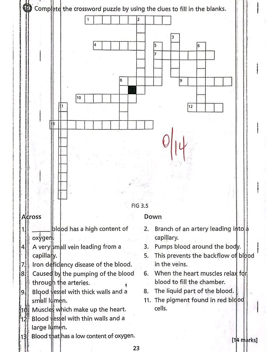 Complete The Crossword Puzzle By Using The StudyX