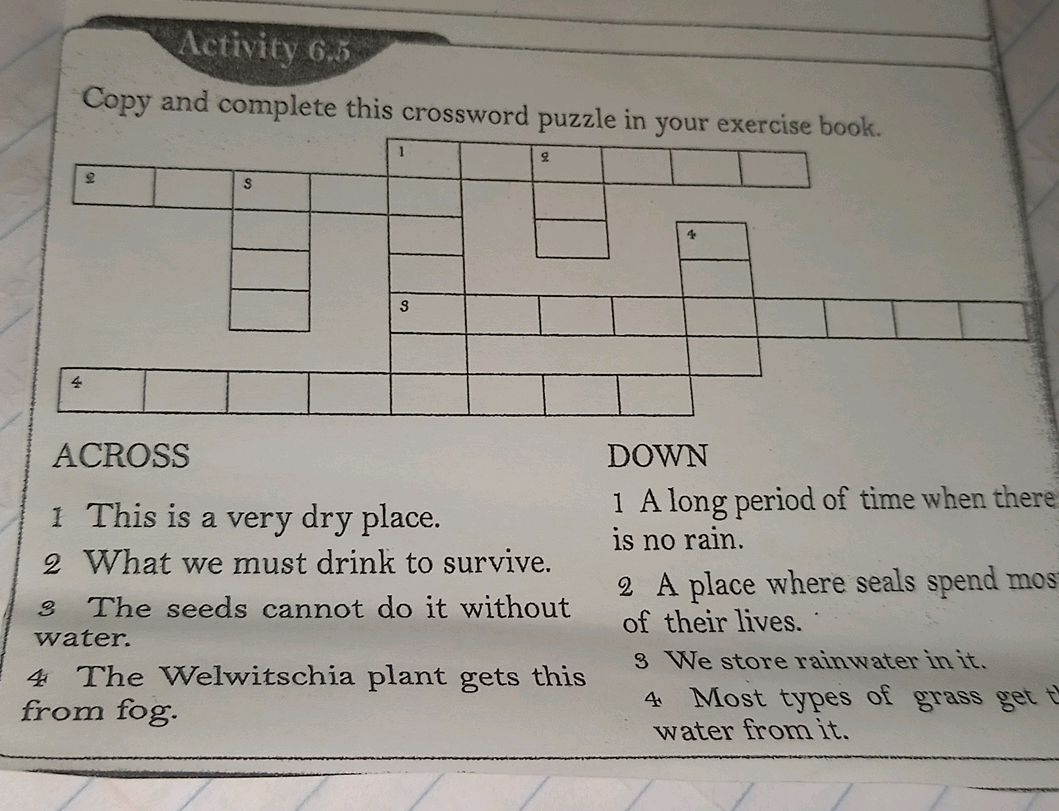 Copy And Complete This Crossword Puzzle In StudyX