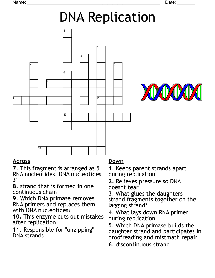 Cosmetology Crossword WordMint