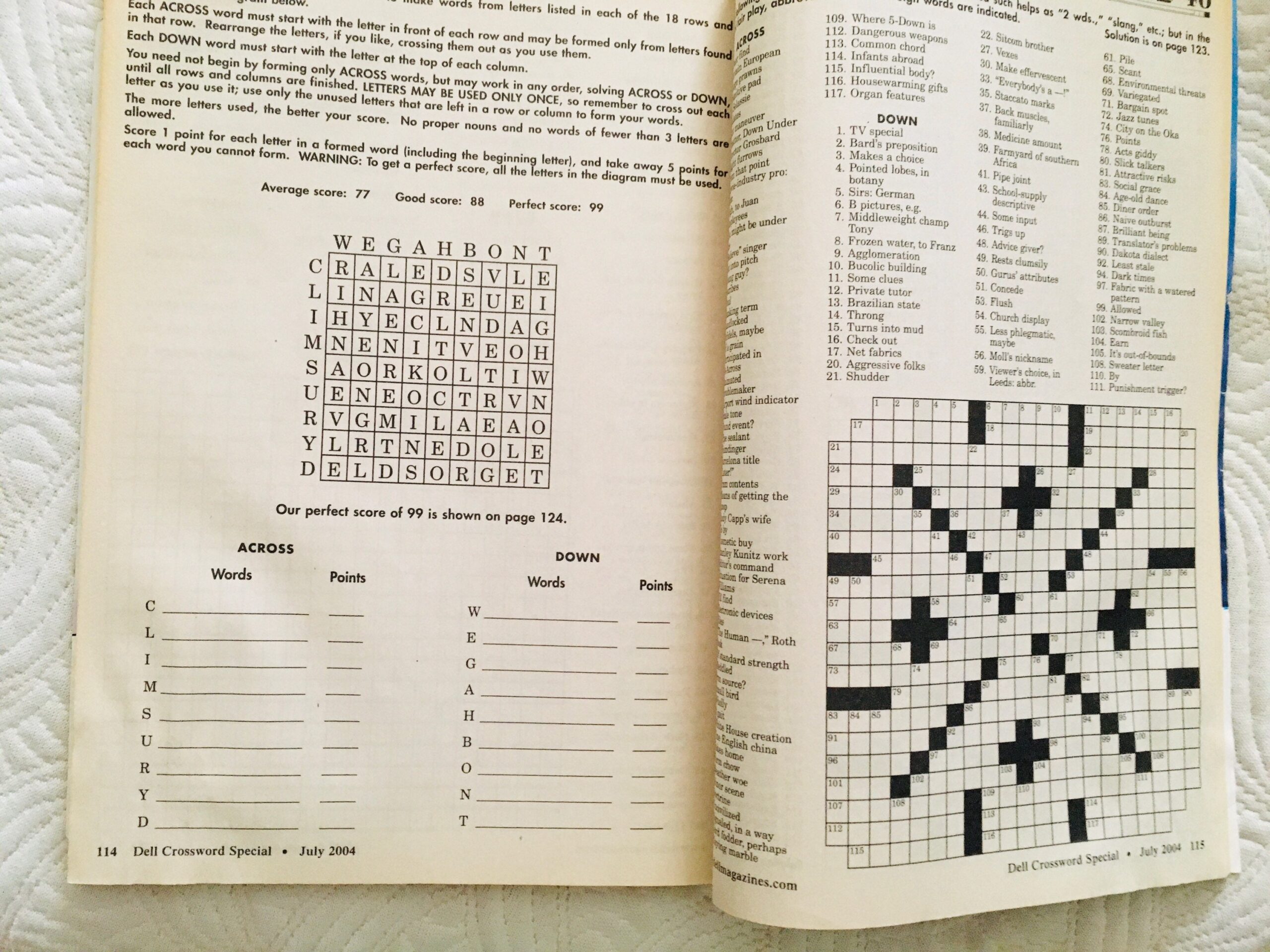 Crossword Special Dell July 2004 Puzzles Cryptograms Figgerits Laddergrams Quotation Bible Cryptic Add A Fraction Word Graph Others Etsy Hong Kong
