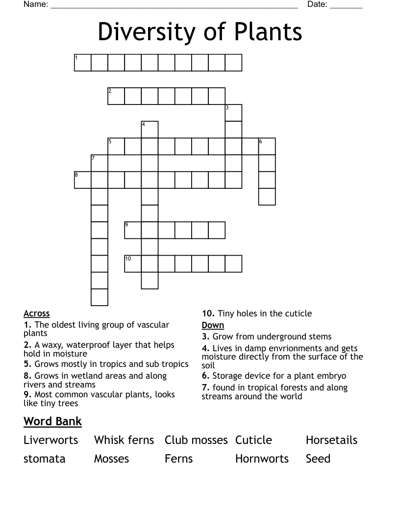 Diversity Of Plants Crossword WordMint