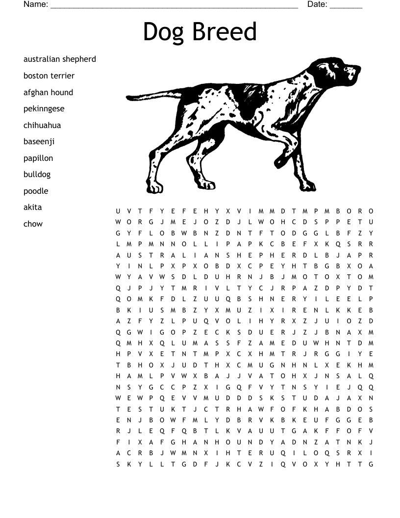 terrier type crossword clue