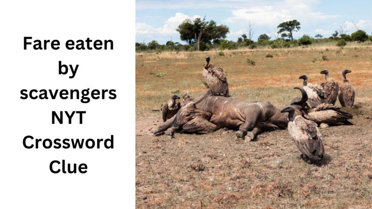 Fare Eaten By Scavengers NYT Crossword Clue August 10 2024