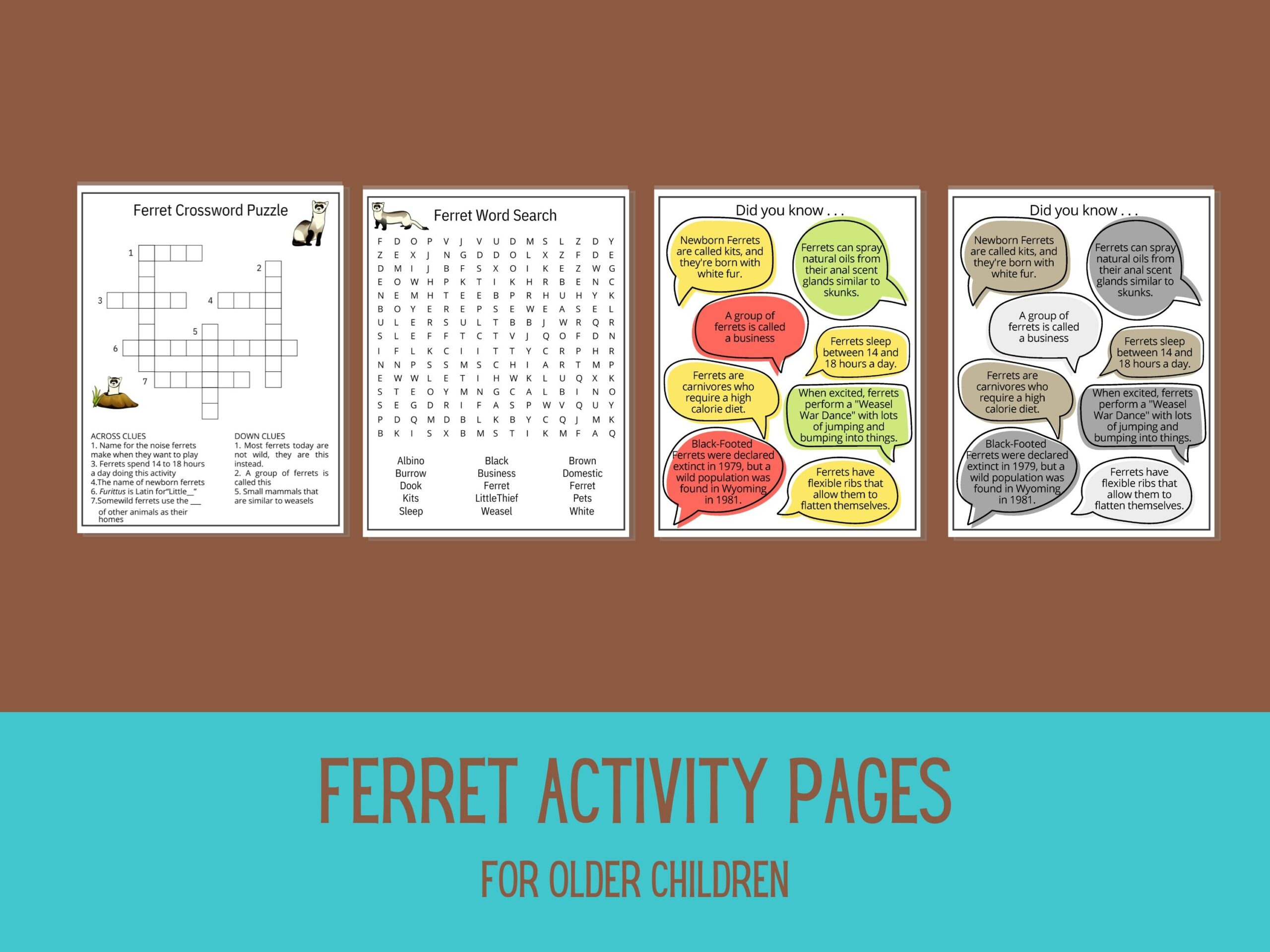 Ferret Activity Sheets Printable Fun Kids Activity Kit Ferret Crossword Puzzle Word Search Fun Facts Coloring Pages Mazes Ispy Worksheet Etsy Ferret Activity Sheets Printable Fun Kids Activity Kit Ferret Crossword Puzzle Word Search Fun Facts Coloring Pages Mazes Ispy Worksheet Etsy