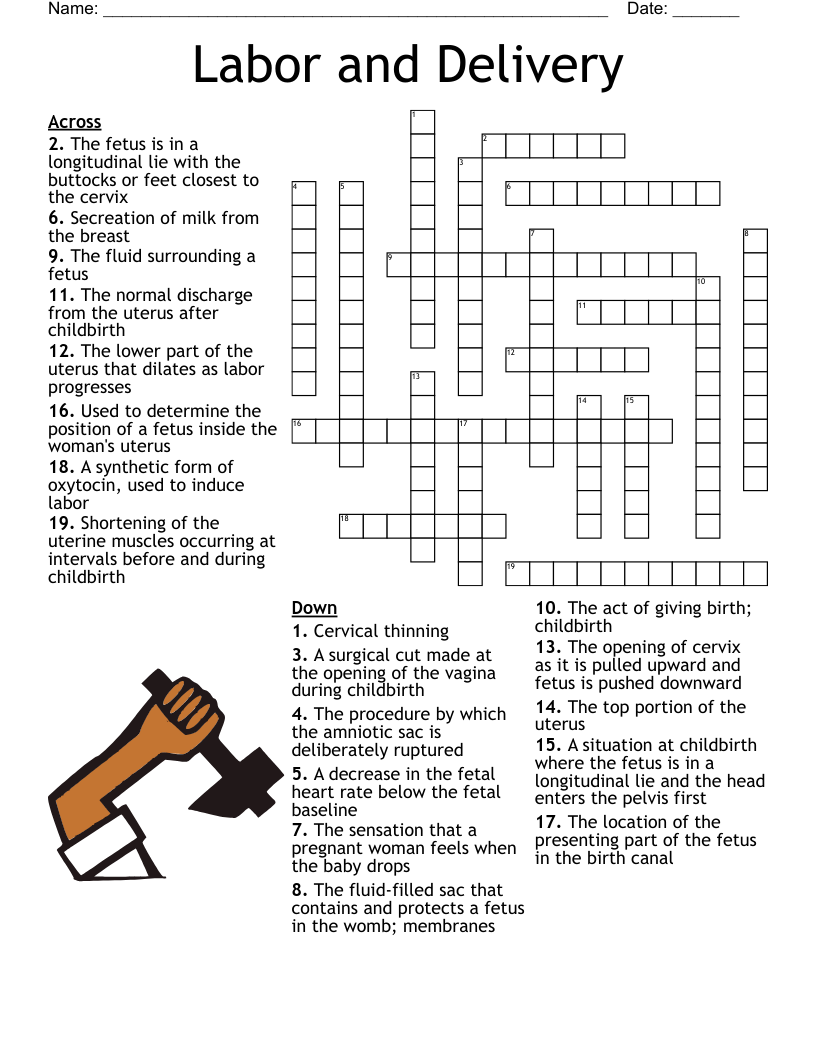Fetal Lie And BPP Crossword WordMint