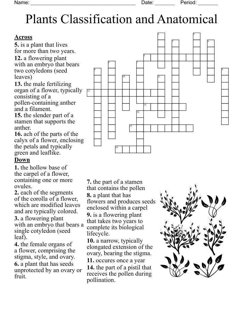Flowers Fruits And Seeds Crossword WordMint