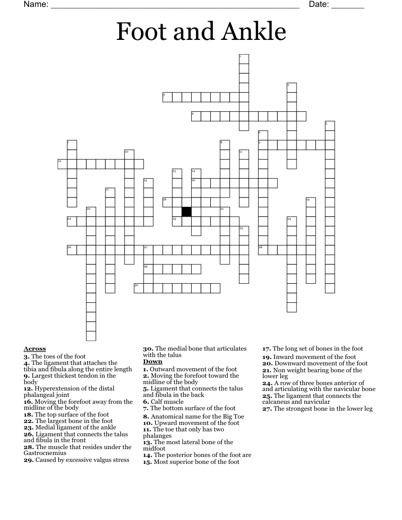 Foot And Ankle Crossword WordMint