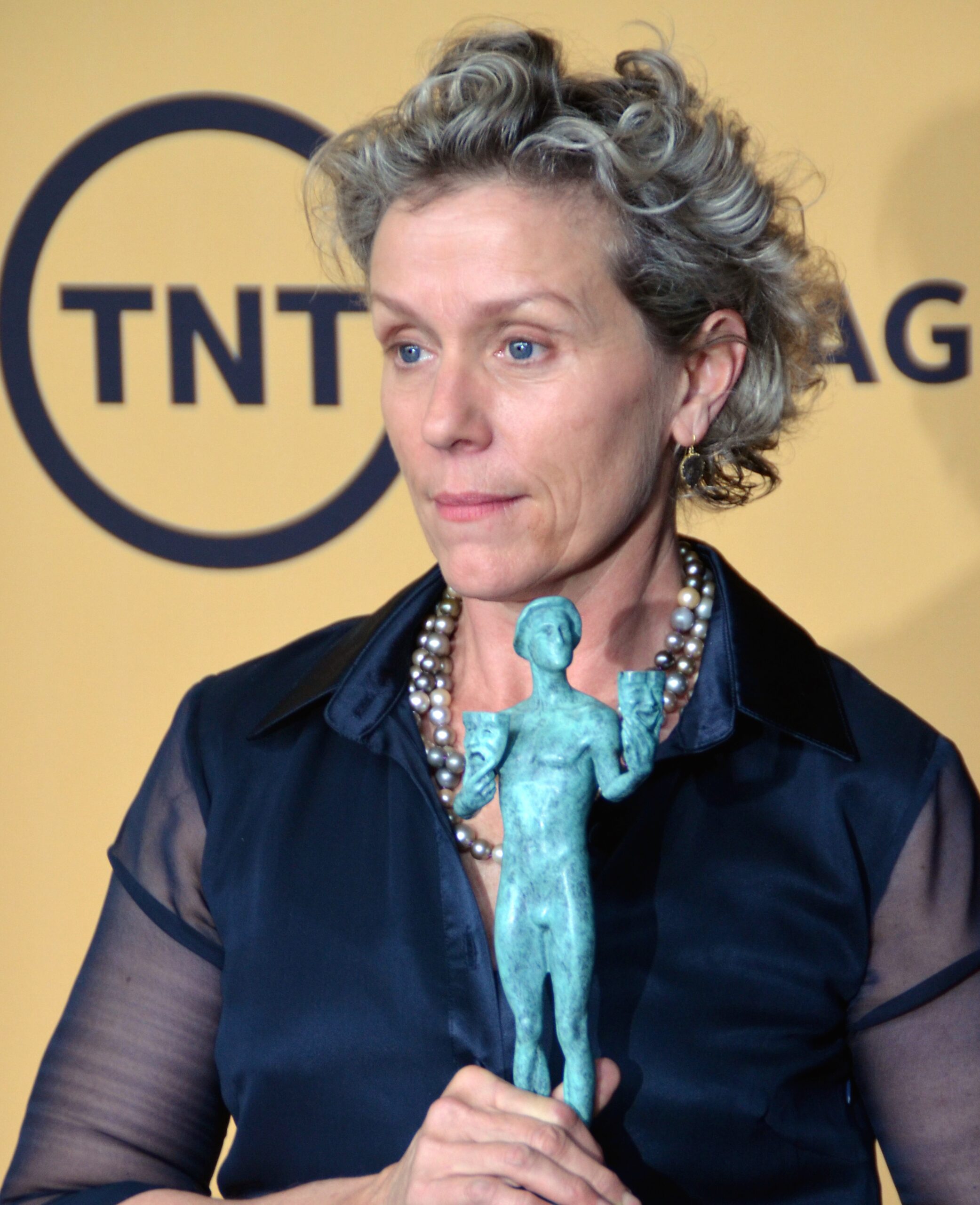 Frances McDormand Wikipedia