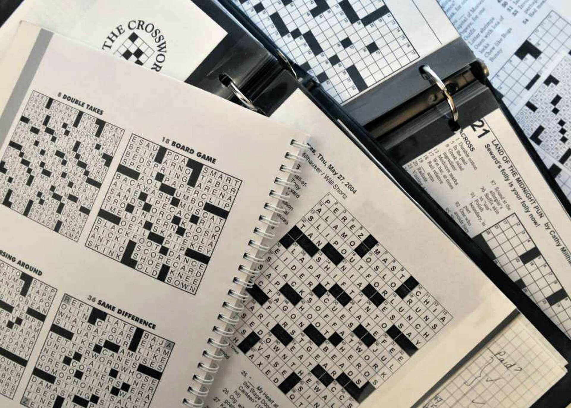 Get Inside The Mind Of Puzzler Cathy Allis
