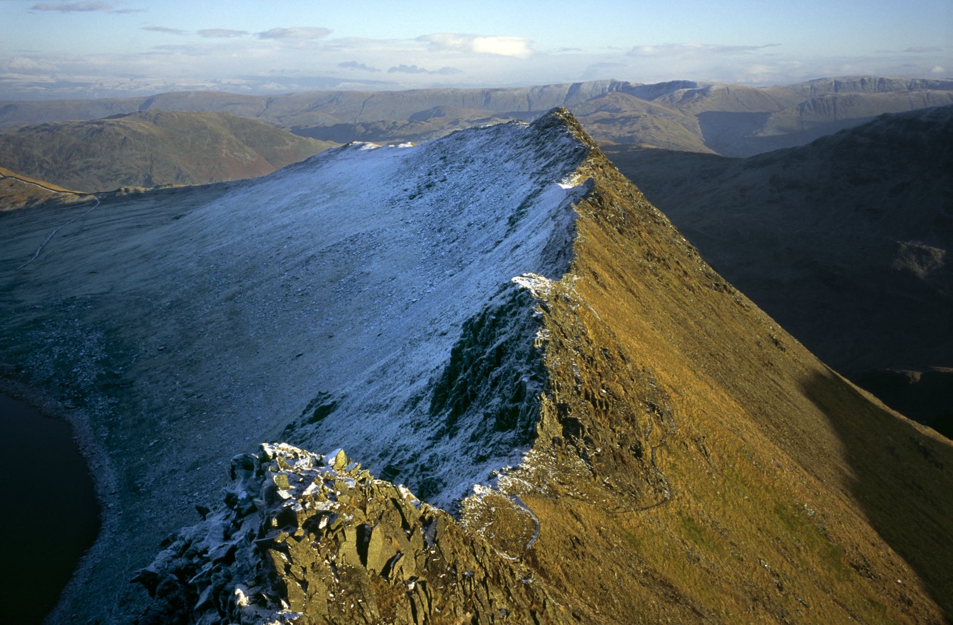 Glaciers Pinegrow
