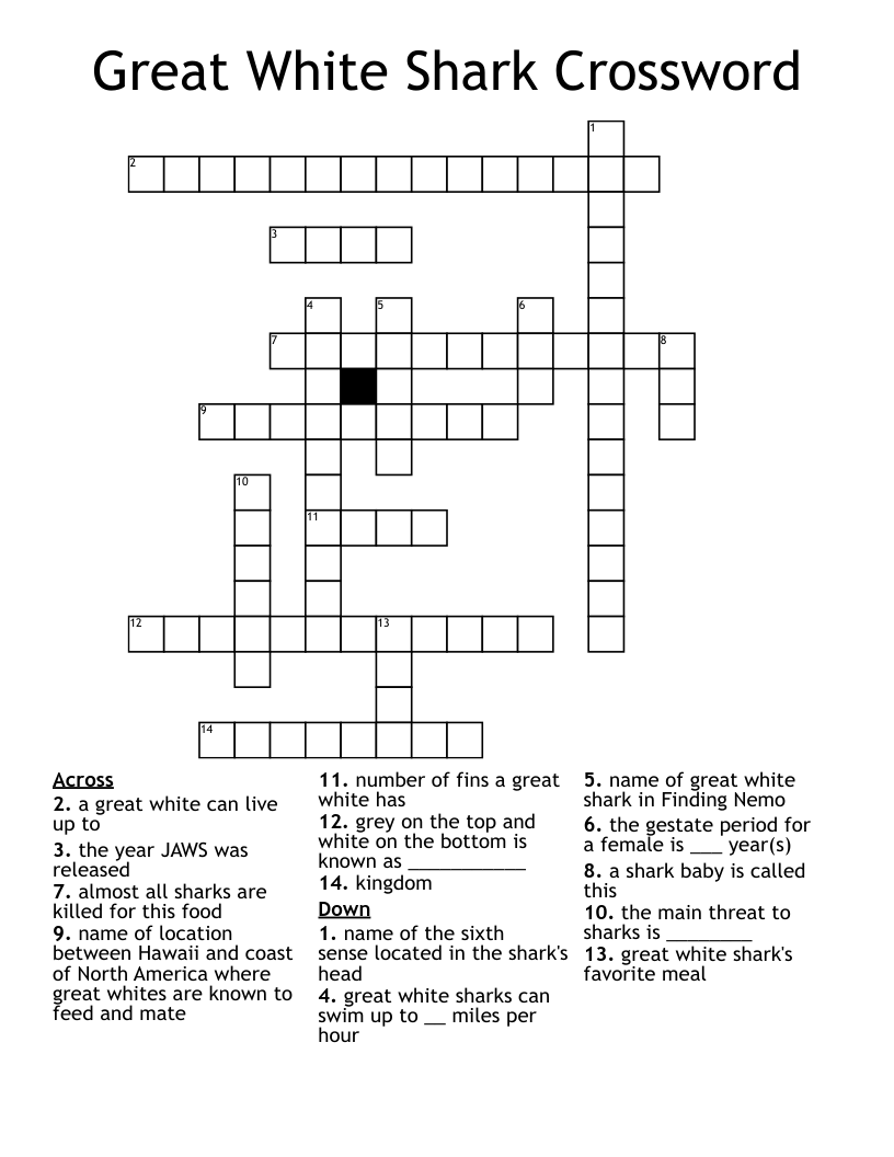 Great White Shark Crossword WordMint