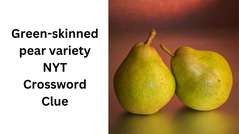 Green skinned Pear Variety NYT Crossword Clue December 11 2024