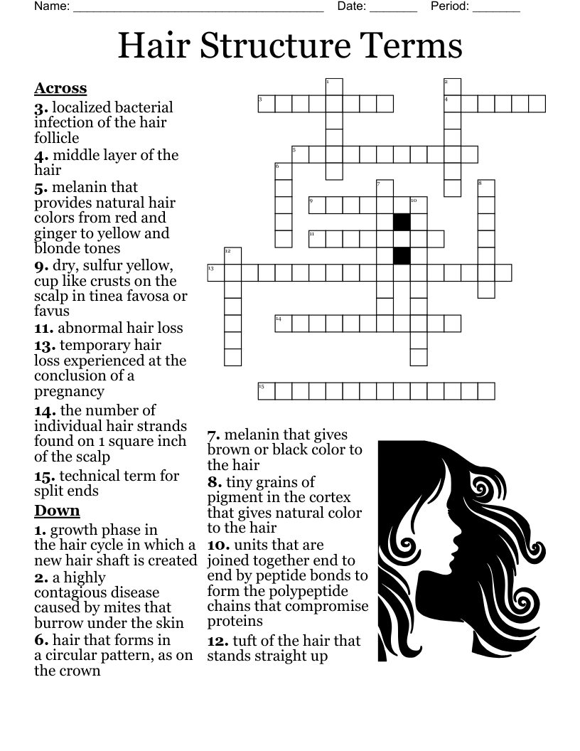 HAIR Crossword WordMint