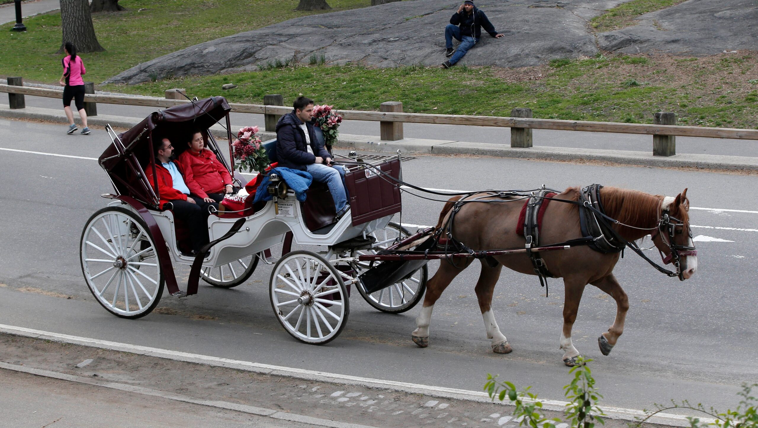 Horse drawn Carriages Still A Bane For NY Mayor