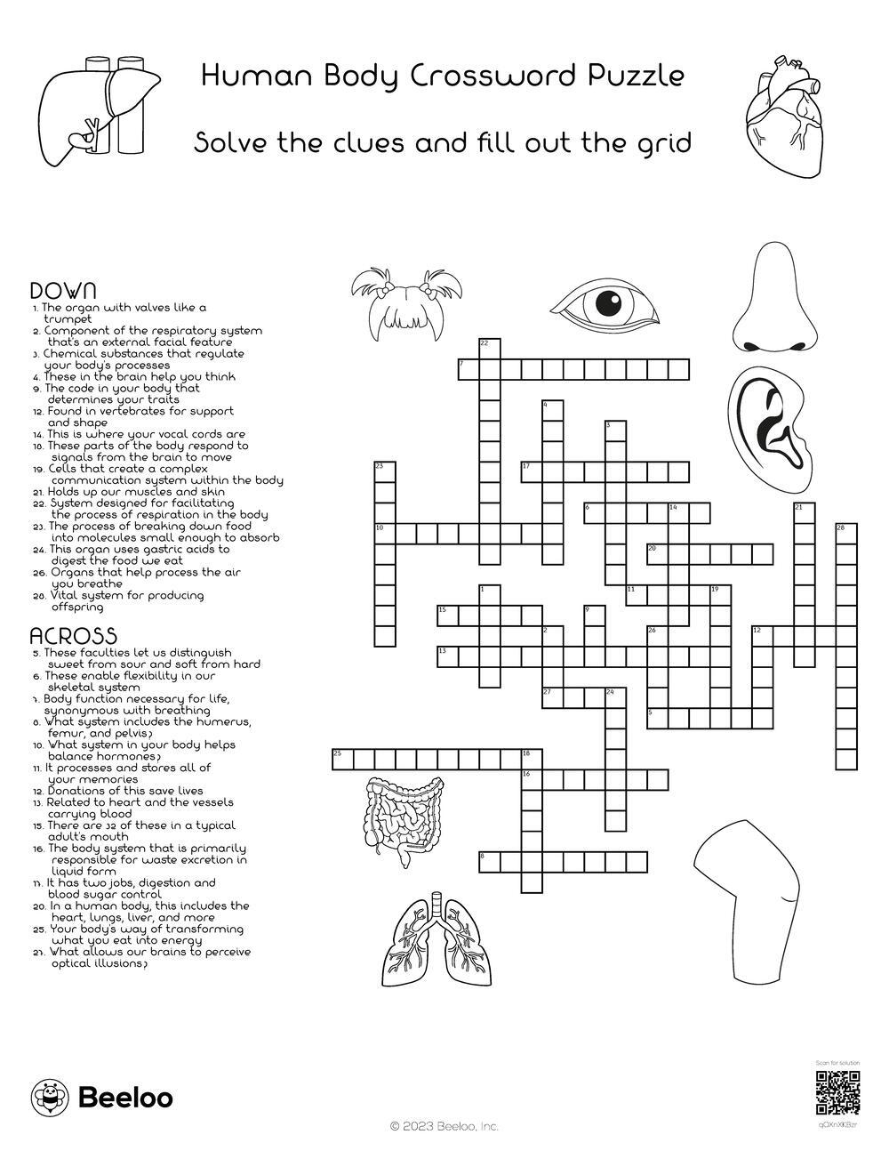 allow for crossword clue