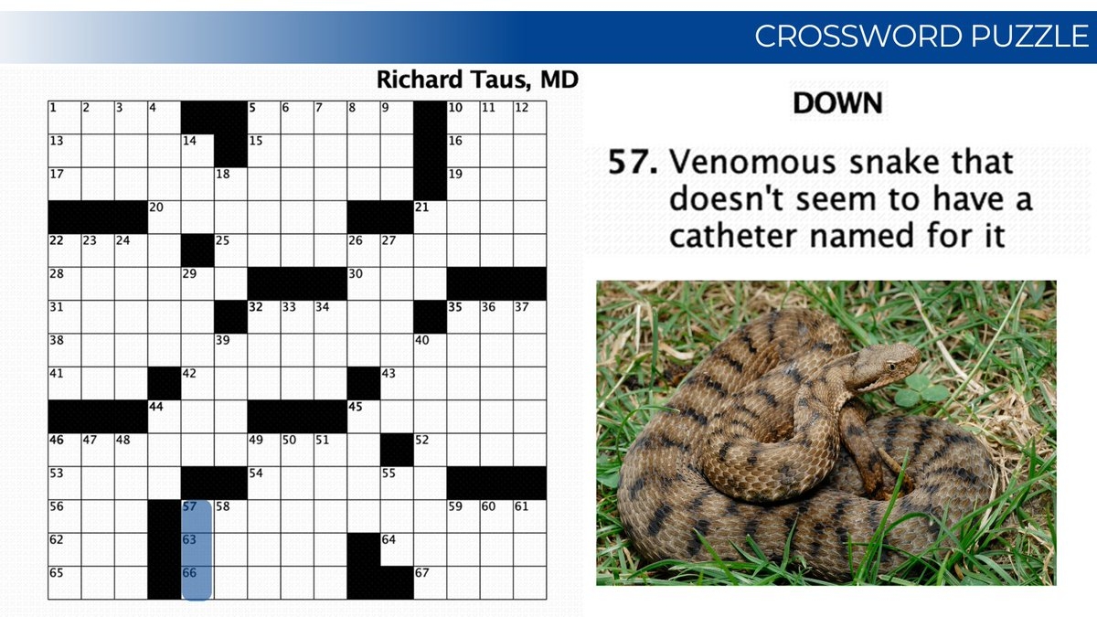 JVIR On X Can You Solve This Clue And Get A Head Start On This Month s JVIRmedia Crossword Puzzle 57 Down Venomous Snake That Doesn t Seem To Mind Having A Catheter Named