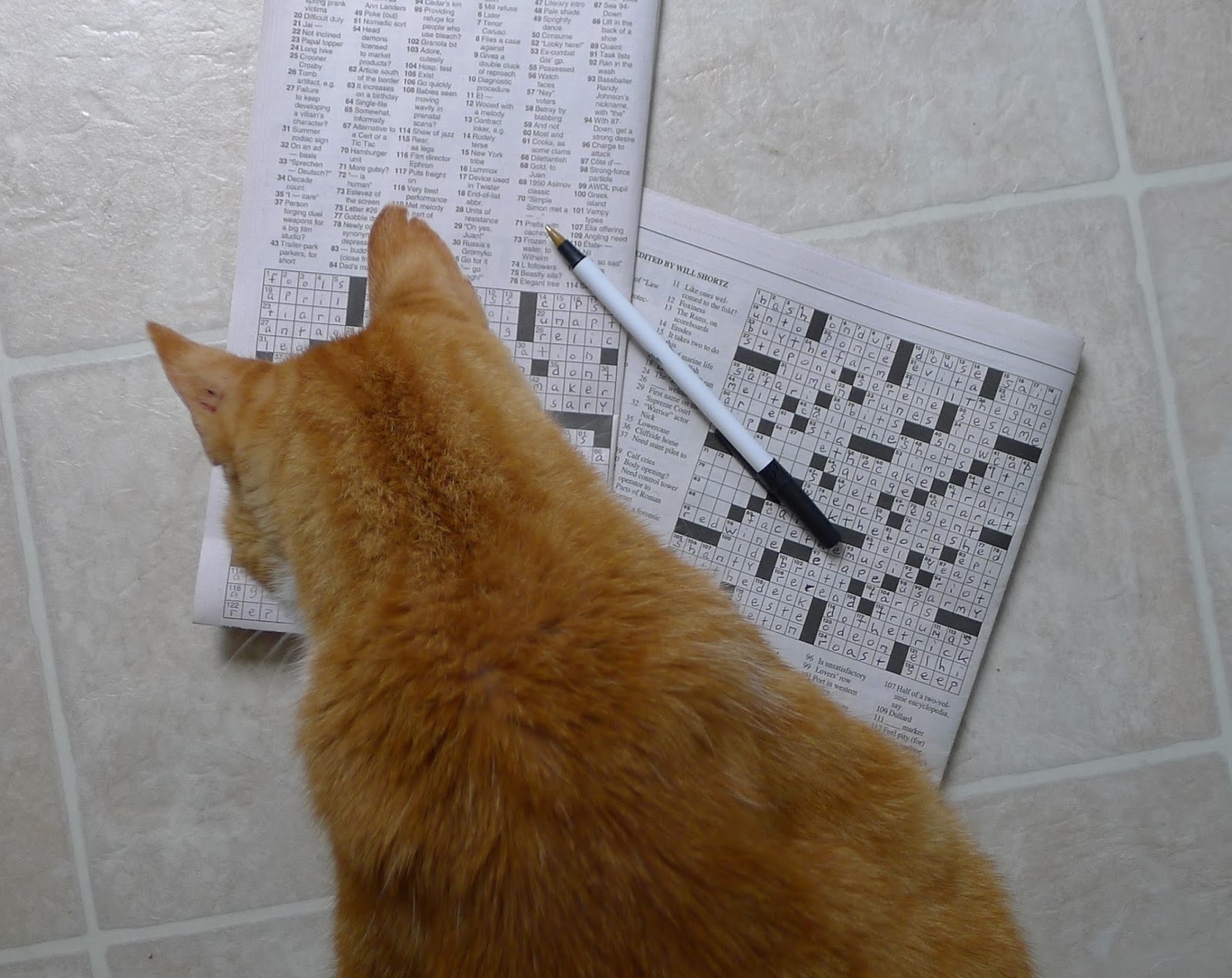 skilled crossword puzzle clue