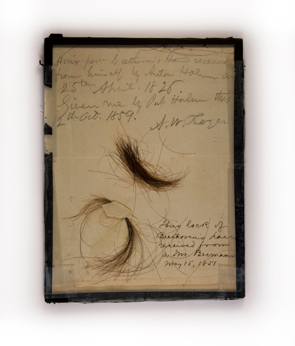 Locks Of Beethoven s Hair Offer New Clues To The Mystery Of His Deafness