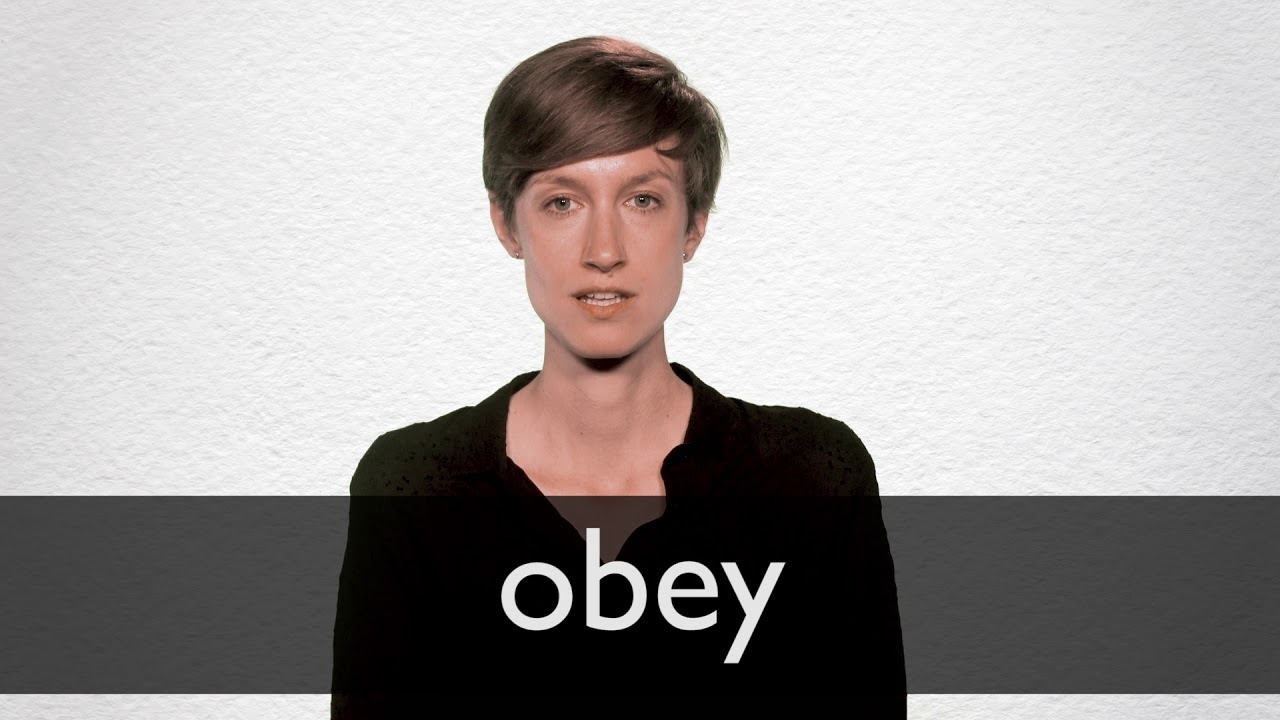 OBEY Definition In American English Collins English Dictionary
