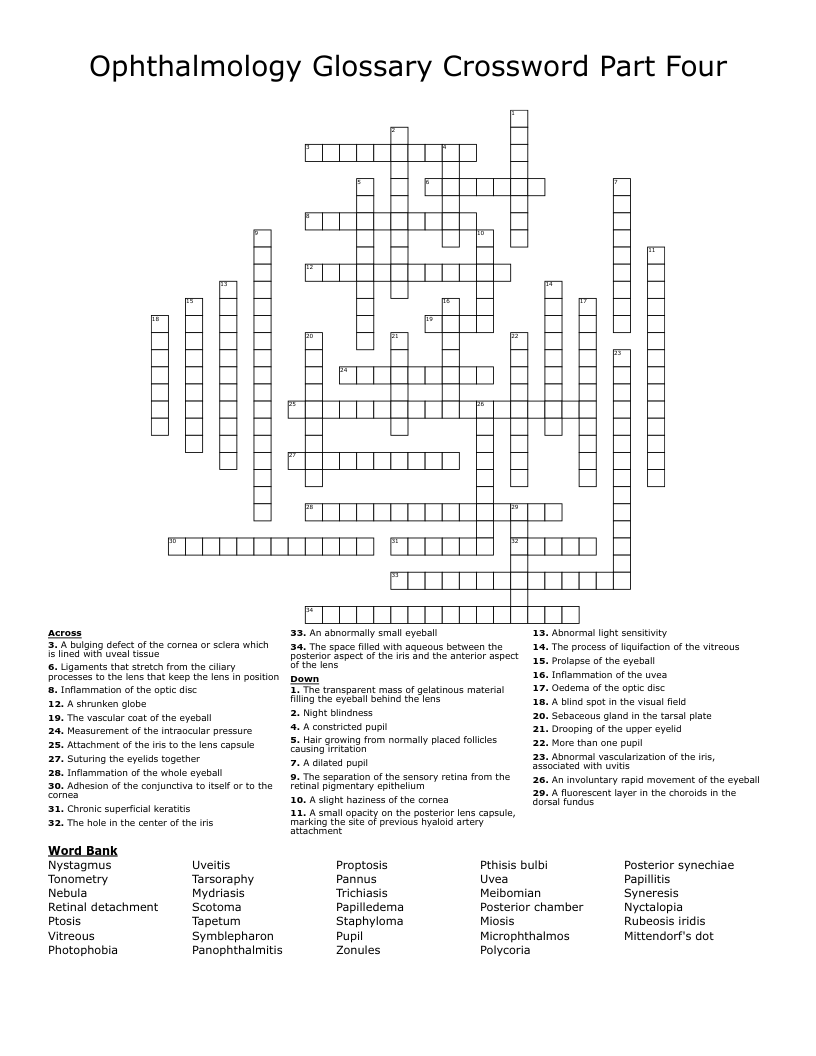 Ophthalmology Glossary Crossword Part Four WordMint
