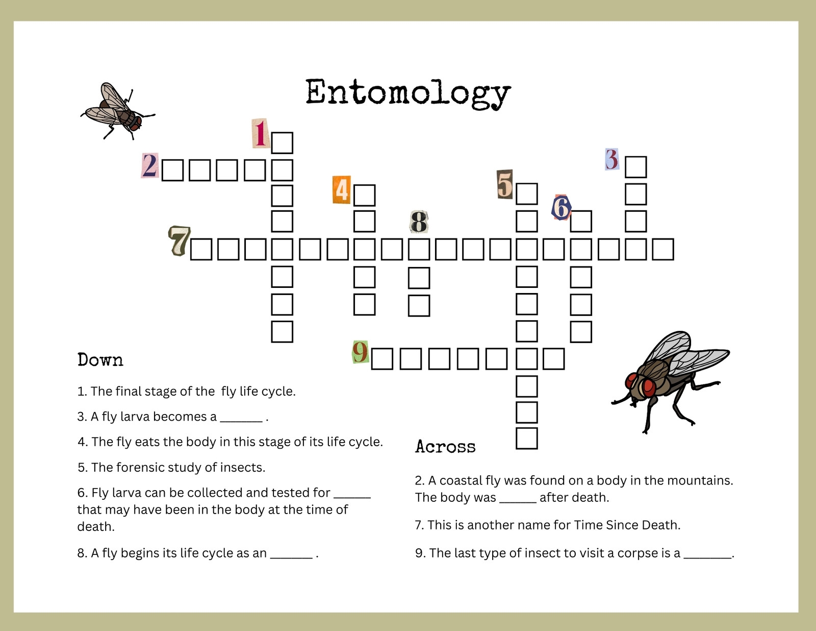 Page 16 Free Editable Puzzle Templates Canva