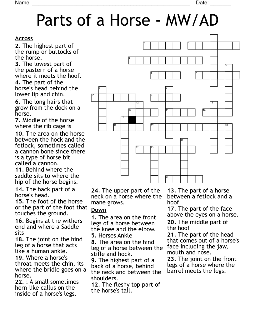 top of the head crossword clue