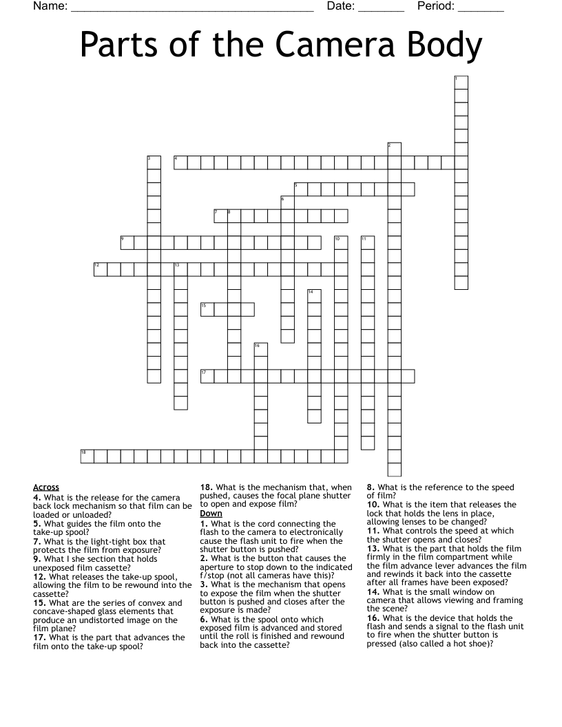 Parts Of The Camera Body Crossword WordMint