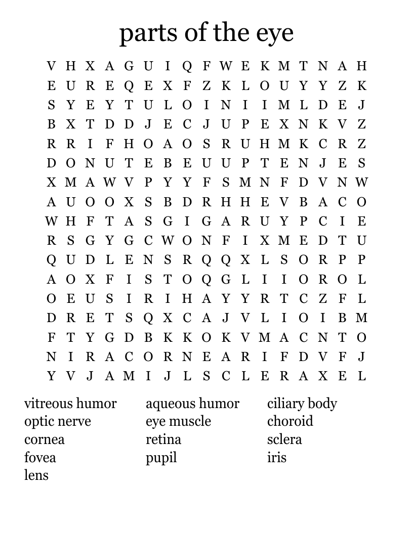 Parts Of The Eye Word Search WordMint