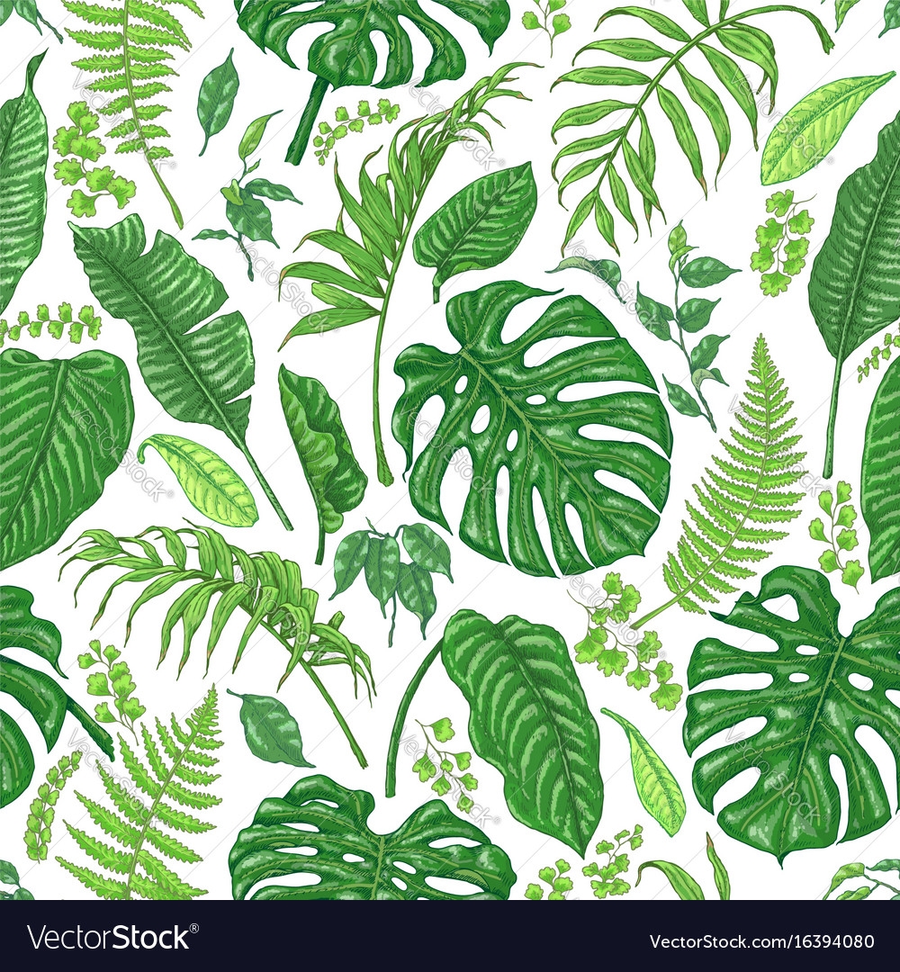 tropical plant crossword clue
