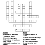 Penguins The Flightless Birds Crossword WordMint